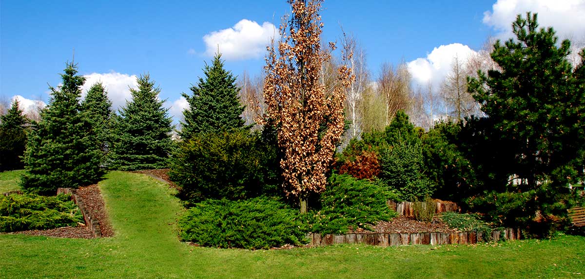 budowa ogrodów okolice grodzisk mazowiecki