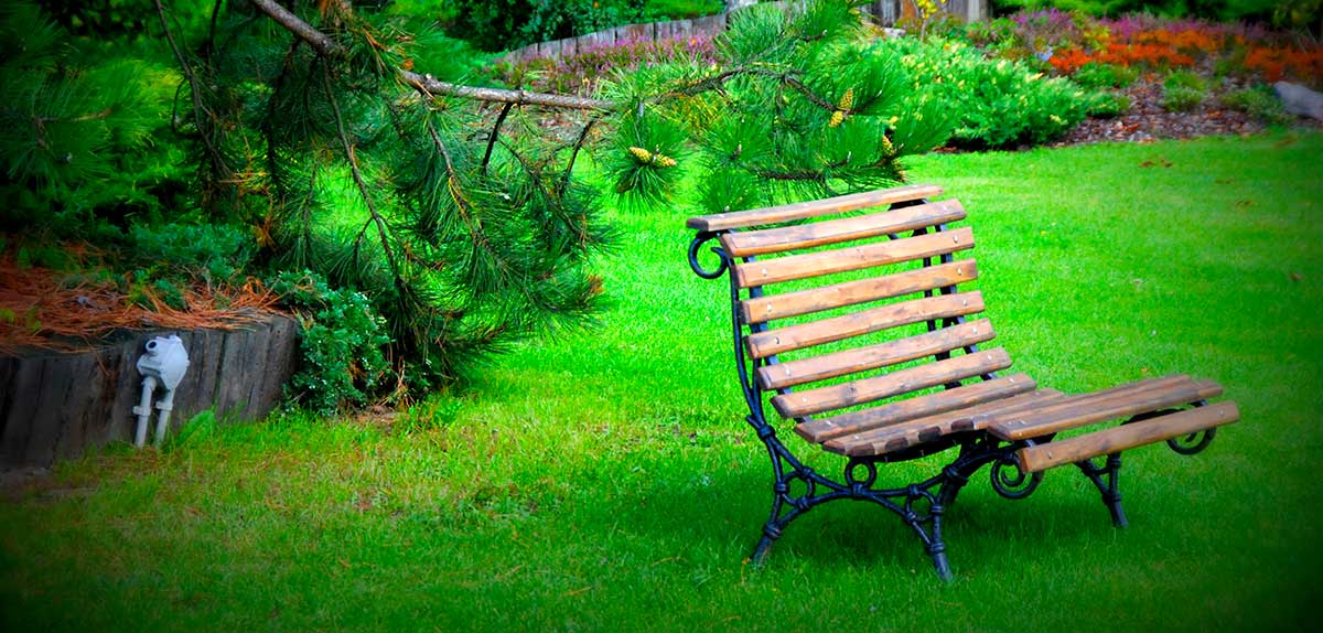 budowa ogrodów okolice komorów